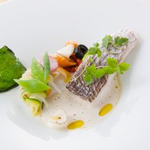 <b>JRホテルメンバーズ 会員様限定</b><br>マルシェコースにお魚料理1品追加サービス「謝恩フェアランチ」