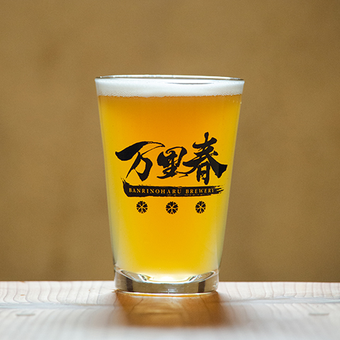 HAZY IPA ヘイジーアイピーエー